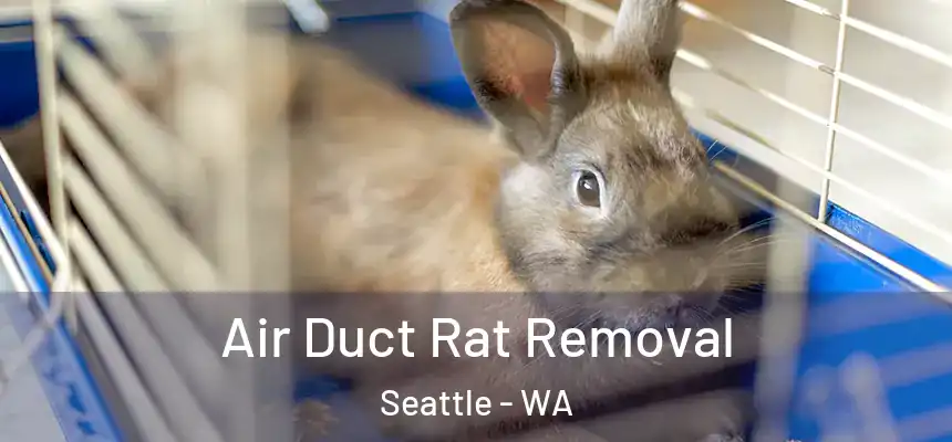 Air Duct Rat Removal Seattle - WA