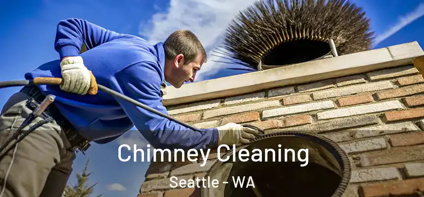 Chimney Cleaning Seattle - WA
