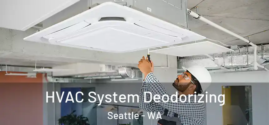 HVAC System Deodorizing Seattle - WA