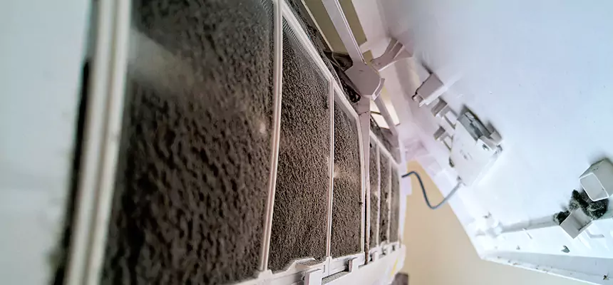 Preventive Air Duct Bacteria Removal in Seattle