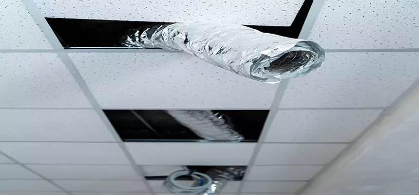 Affordable HVAC Sanitizing After Pest Removal in Seattle