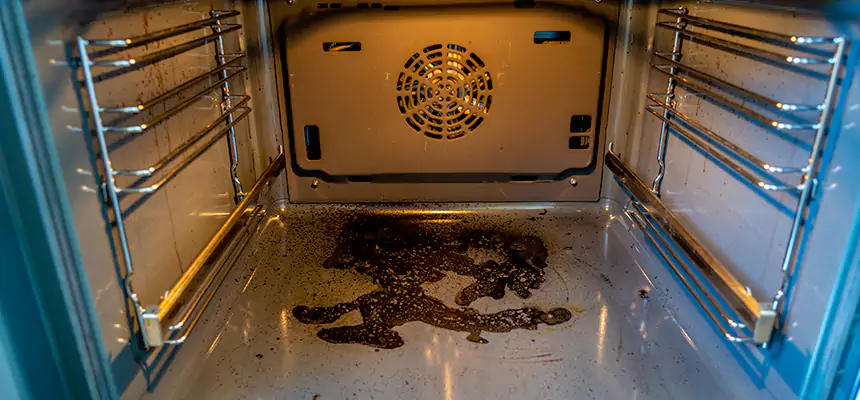 Our Dryer Vent Mold Cleaning Services in Seattle, WA