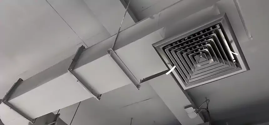 Our Pest Removal From Ducts Services in Seattle, WA