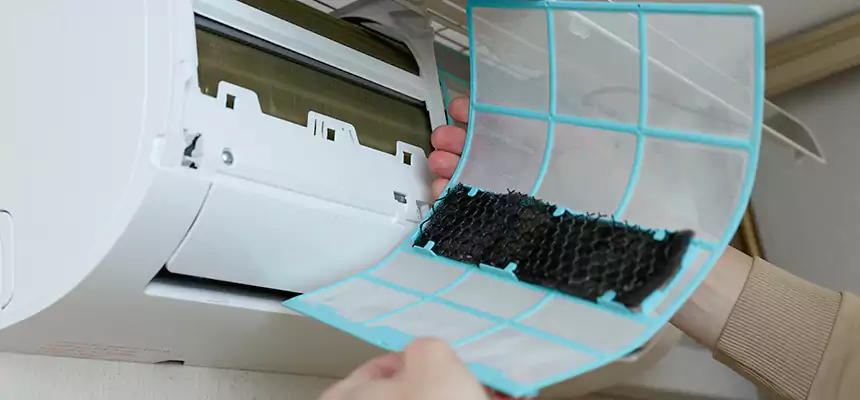 Gentle Ductwork Odor-Control Pet Dander Duct Cleaning in Seattle, WA