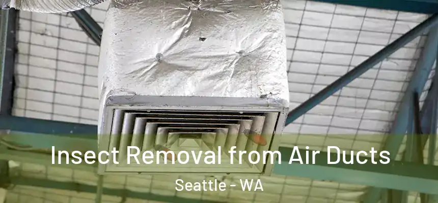 Insect Removal from Air Ducts Seattle - WA