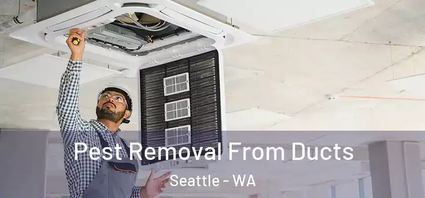 Pest Removal From Ducts Seattle - WA