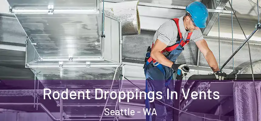 Rodent Droppings In Vents Seattle - WA