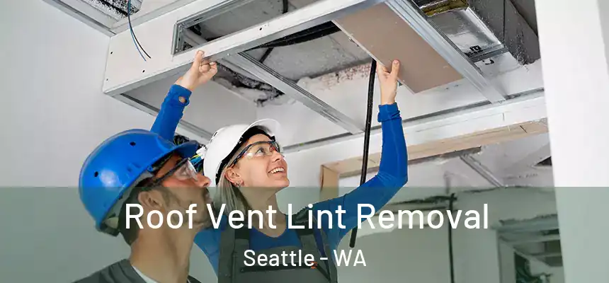 Roof Vent Lint Removal Seattle - WA