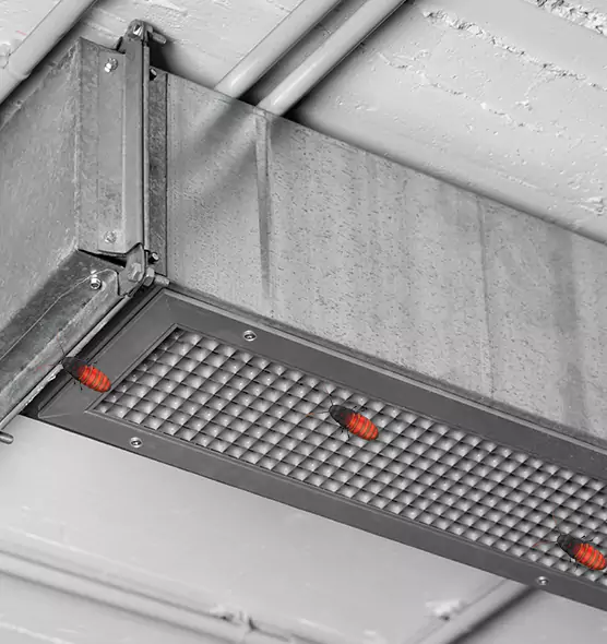 About Air Duct Cockroach Removal in Seattle, WA