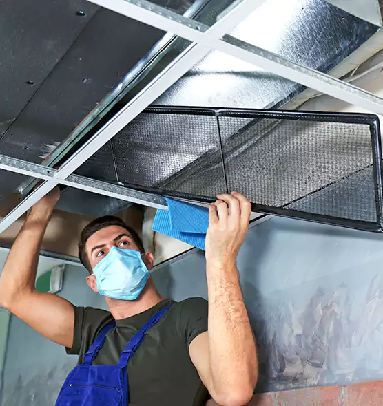 Professional Air Duct Pollen Cleaning in Seattle, WA