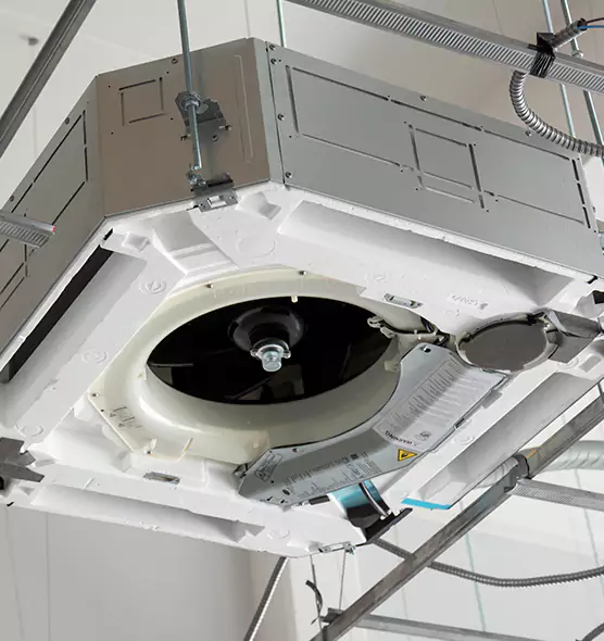 Professional Roof Vent Lint Removal Seattle, WA