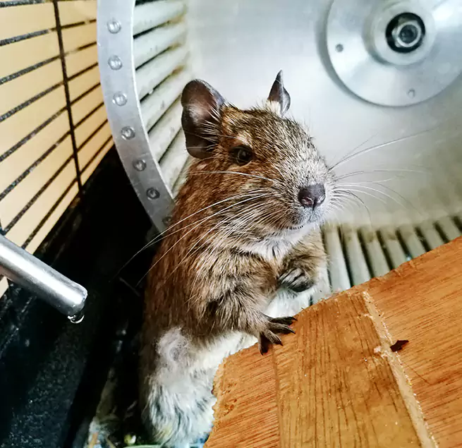 Why Homeowners & Businesses Trust Us Seattle, WA