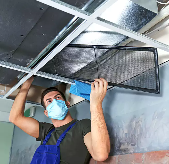 Why Homeowners Businesses Trust Us in Seattle, WA