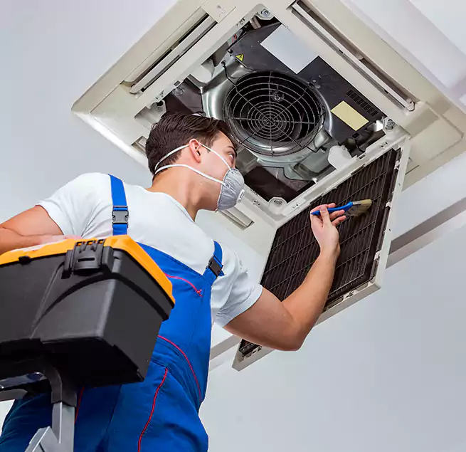 Why Homeowners & Businesses Trust Us in Seattle, WA