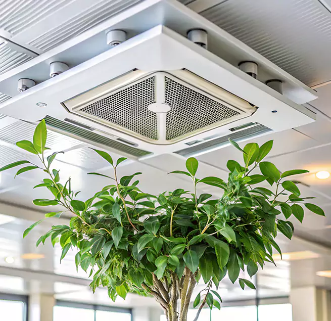 Why Homeowners & Businesses Trust Us in Seattle, WA?