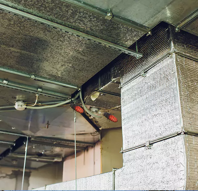 Why Homeowners & Businesses Trust Us Seattle, WA?