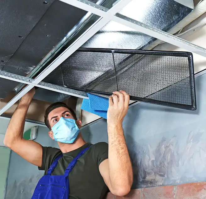 Why Homeowners & Businesses Trust Us in Seattle, WA?